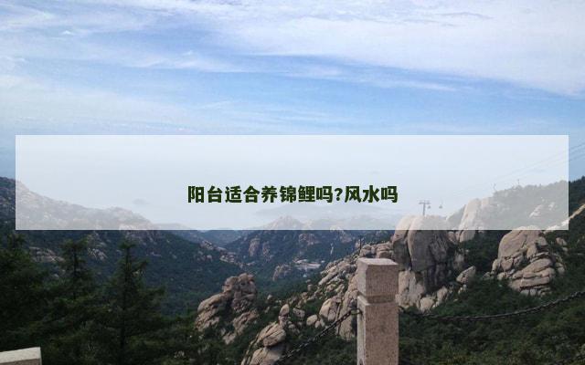 阳台适合养锦鲤吗?风水吗