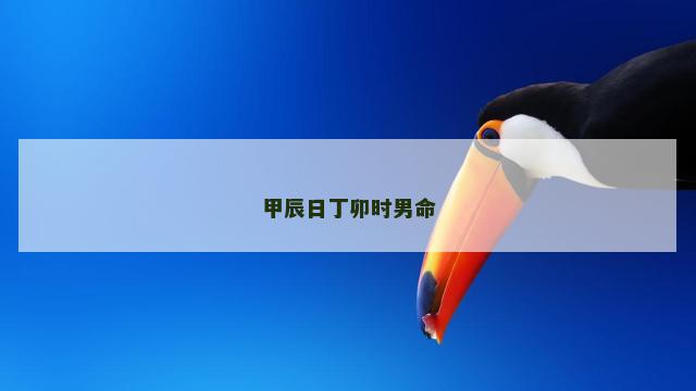 甲辰日丁卯时男命