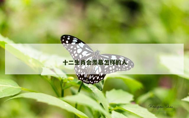 十二生肖会羡慕怎样的人