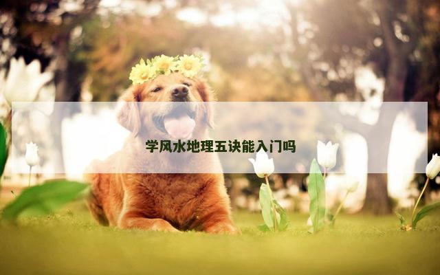学风水地理五诀能入门吗