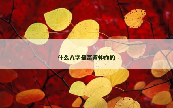 什么八字是高富帅命的