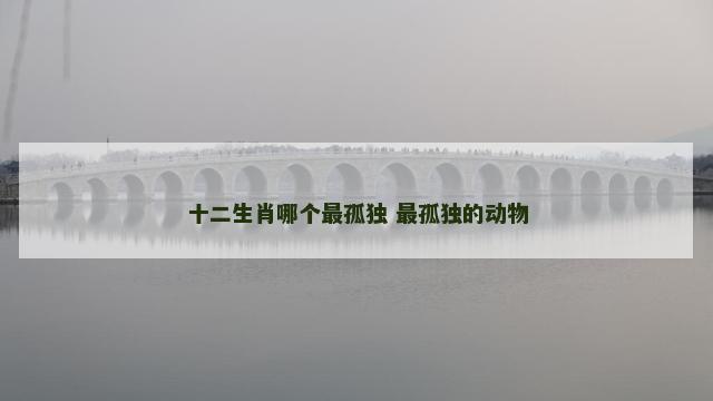 十二生肖哪个最孤独 最孤独的动物