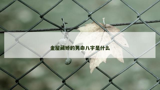 金屋藏娇的男命八字是什么