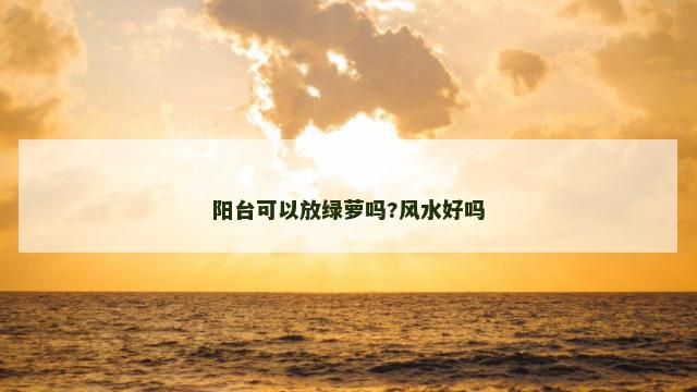 阳台可以放绿萝吗?风水好吗