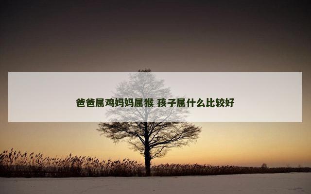 爸爸属鸡妈妈属猴 孩子属什么比较好