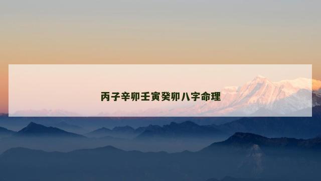 丙子辛卯壬寅癸卯八字命理