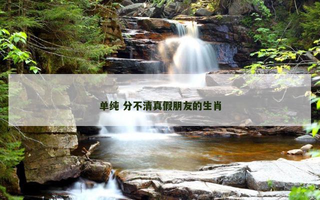 单纯 分不清真假朋友的生肖