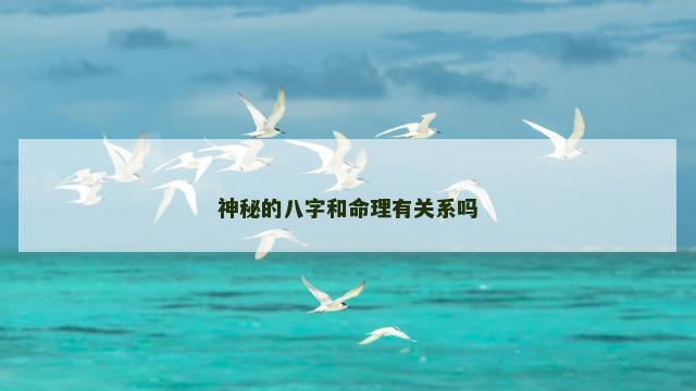 神秘的八字和命理有关系吗