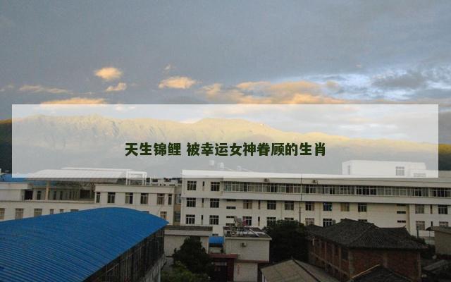 天生锦鲤 被幸运女神眷顾的生肖