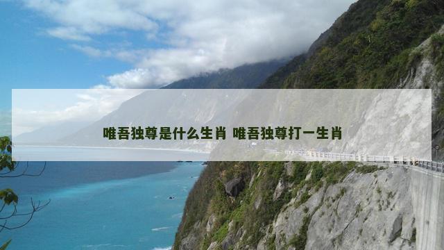 唯吾独尊是什么生肖 唯吾独尊打一生肖