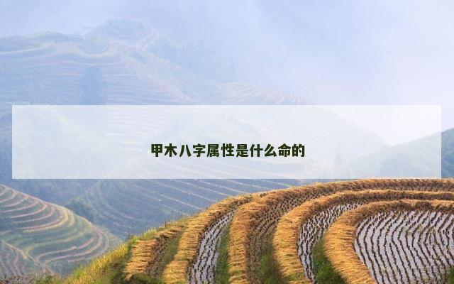 甲木八字属性是什么命的