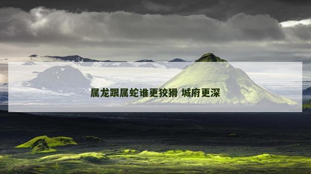 属龙跟属蛇谁更狡猾 城府更深