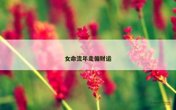 女命流年走偏财运