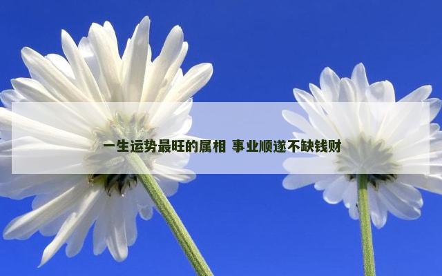 一生运势最旺的属相 事业顺遂不缺钱财