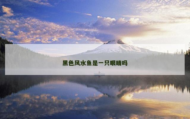黑色风水鱼是一只眼睛吗