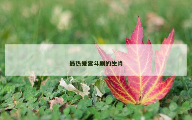 最热爱宫斗剧的生肖