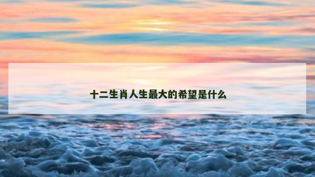 十二生肖人生最大的希望是什么