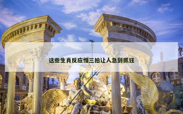 这些生肖反应慢三拍让人急到抓狂