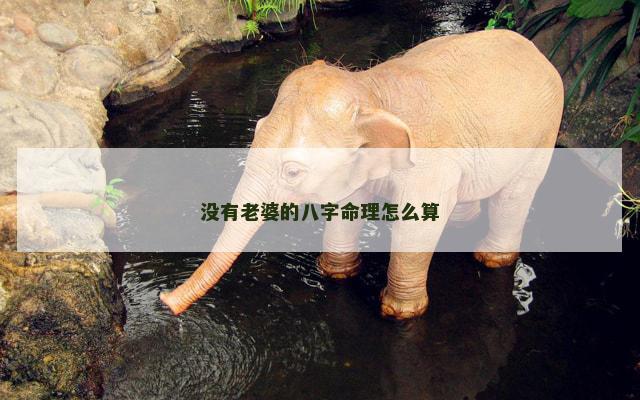 没有老婆的八字命理怎么算