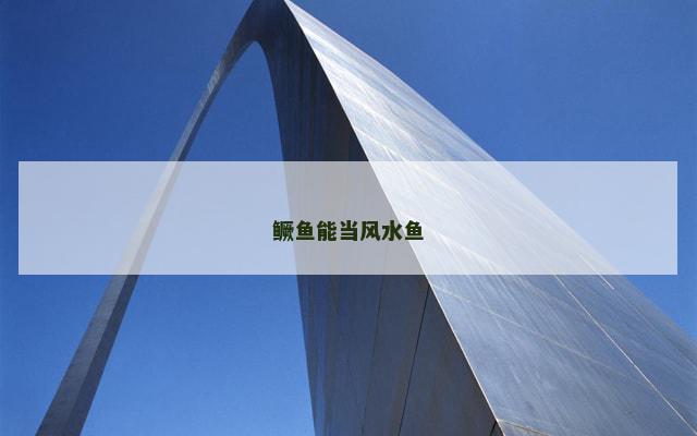 鳜鱼能当风水鱼