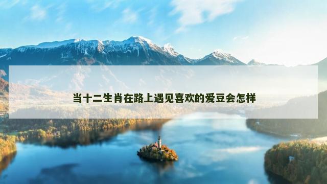 当十二生肖在路上遇见喜欢的爱豆会怎样