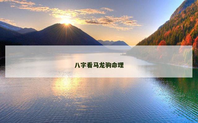 八字看马龙驹命理