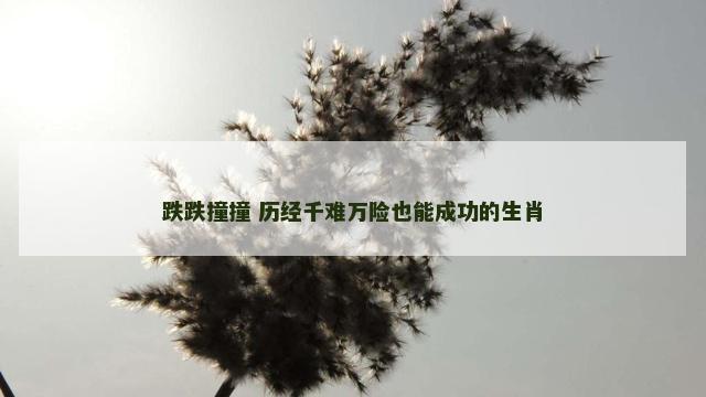 跌跌撞撞 历经千难万险也能成功的生肖