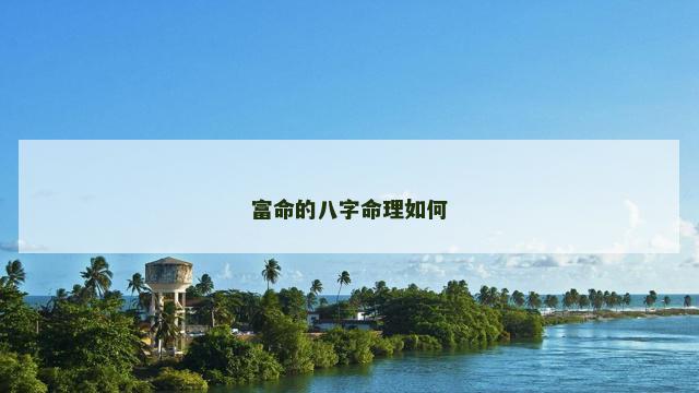 富命的八字命理如何