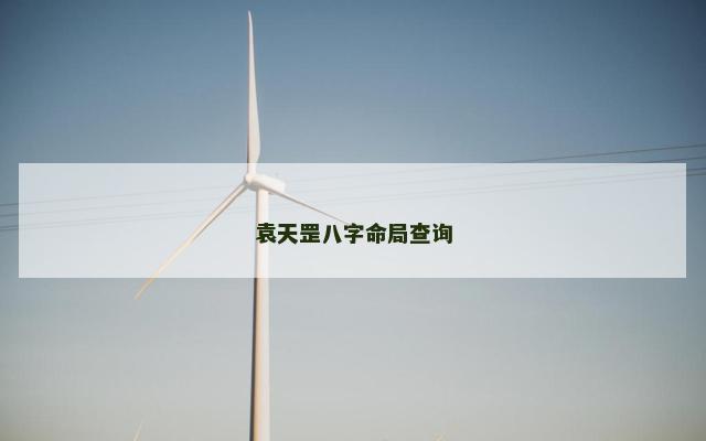 袁天罡八字命局查询