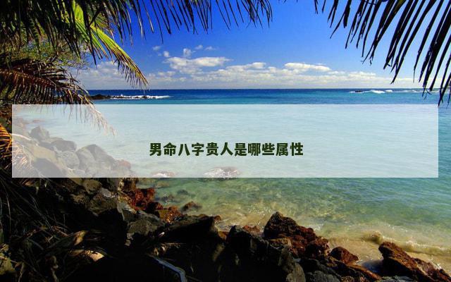 男命八字贵人是哪些属性