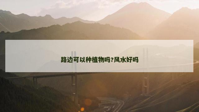 路边可以种植物吗?风水好吗
