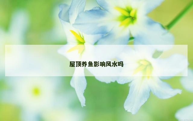 屋顶养鱼影响风水吗