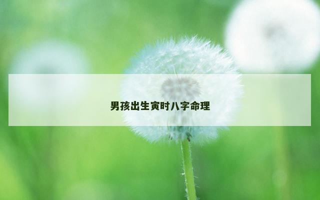 男孩出生寅时八字命理