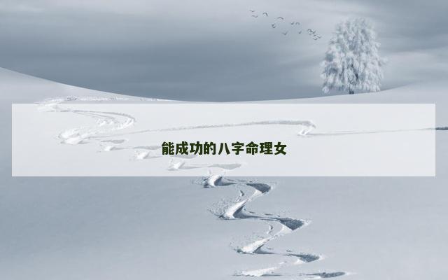 能成功的八字命理女