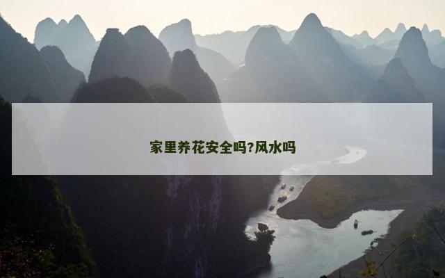 家里养花安全吗?风水吗