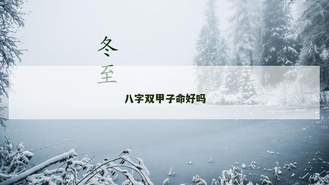 八字双甲子命好吗