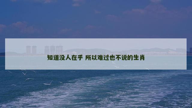 知道没人在乎 所以难过也不说的生肖