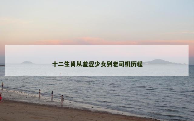 十二生肖从羞涩少女到老司机历程