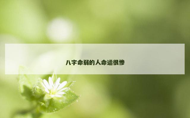 八字命弱的人命运很惨