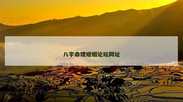 八字命理婚姻论坛网址