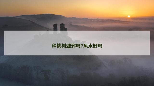 种桃树避邪吗?风水好吗