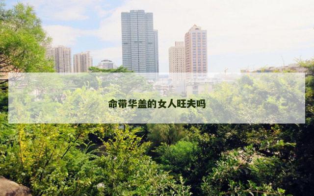 命带华盖的女人旺夫吗