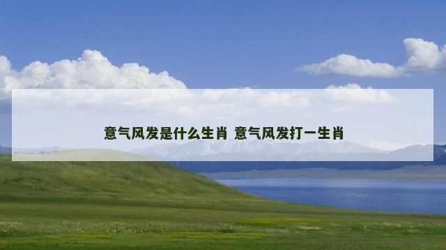 意气风发是什么生肖 意气风发打一生肖