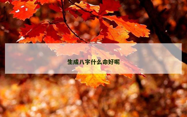 生成八字什么命好呢