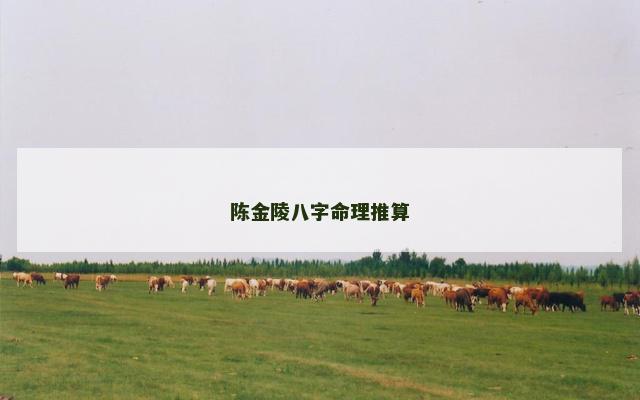 陈金陵八字命理推算