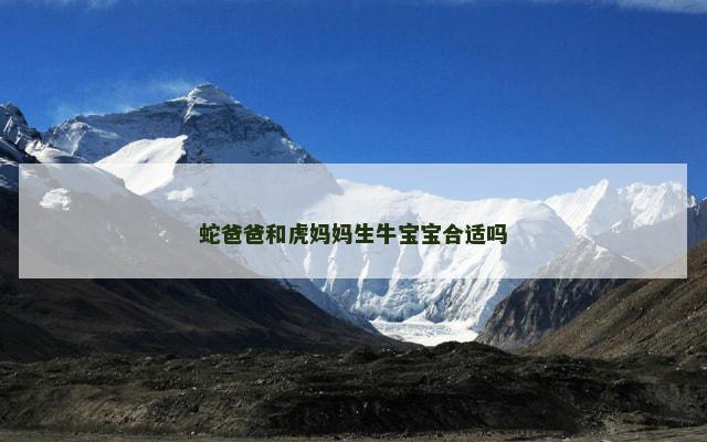 蛇爸爸和虎妈妈生牛宝宝合适吗