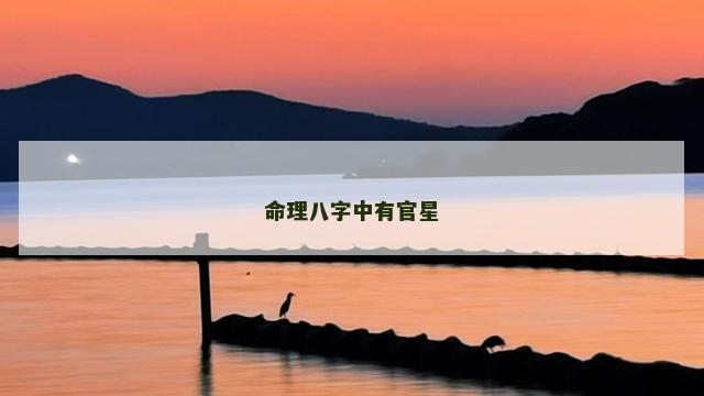 命理八字中有官星