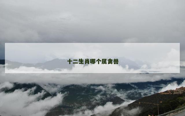 十二生肖哪个属禽兽
