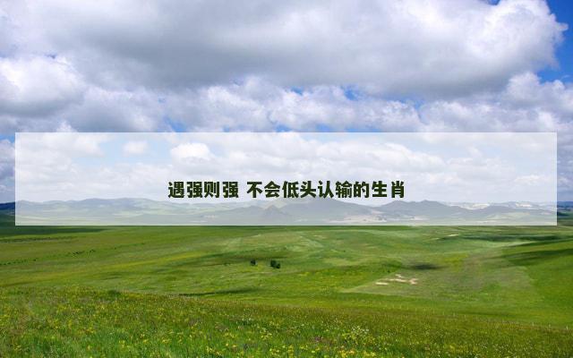 遇强则强 不会低头认输的生肖