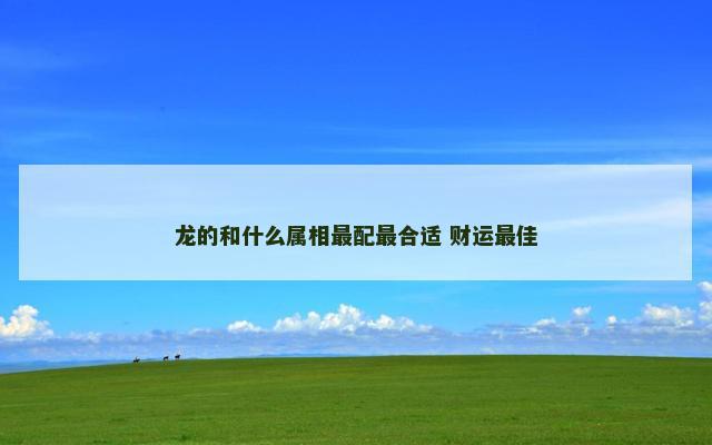 龙的和什么属相最配最合适 财运最佳
